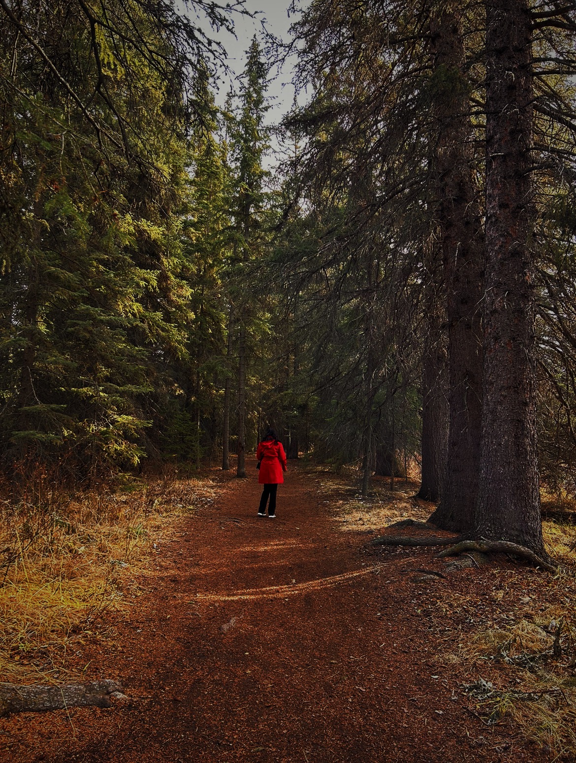 Hiking a trial
